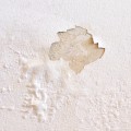 How do you fix a wall that has been damaged by water?